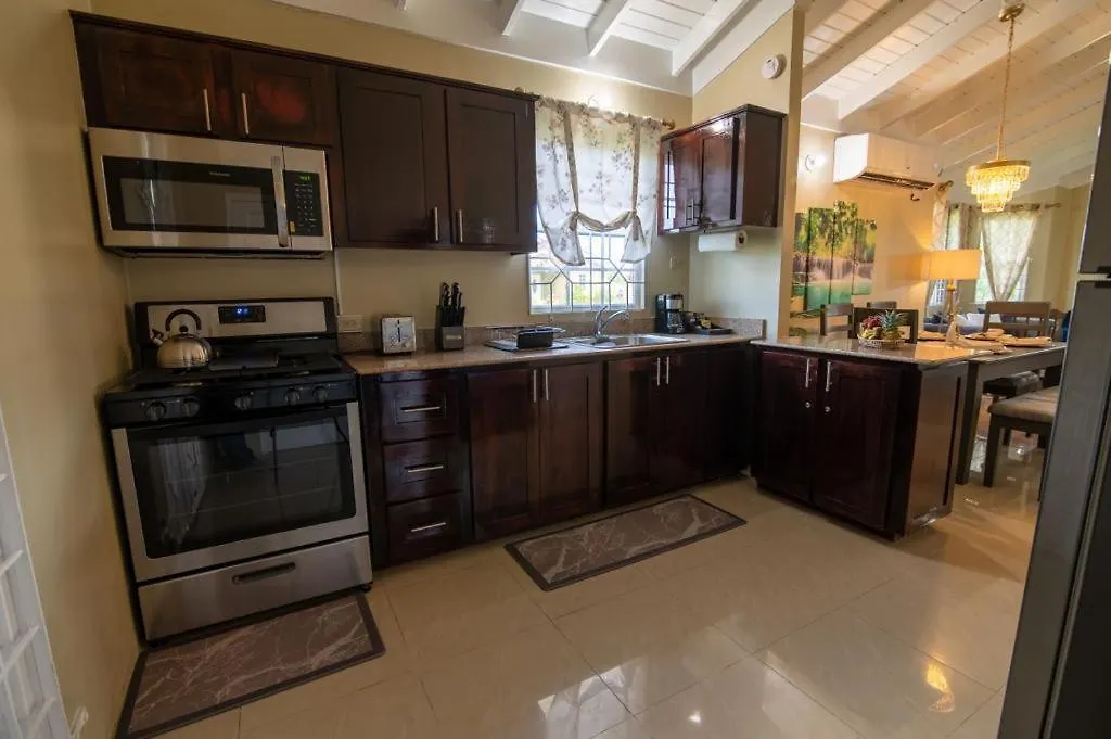 Vila Stafford Oasis Discovery Bay 0*,